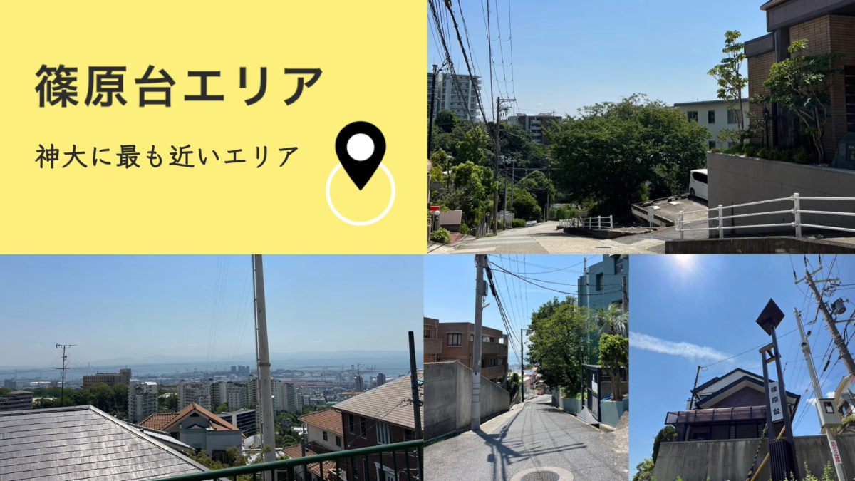 篠原台エリアの画像